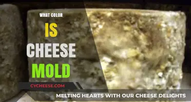 Unveiling the Truth: What Color is Cheese Mold and Why?