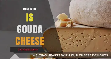 Exploring Gouda Cheese: Its Distinctive Color and Flavor Profile