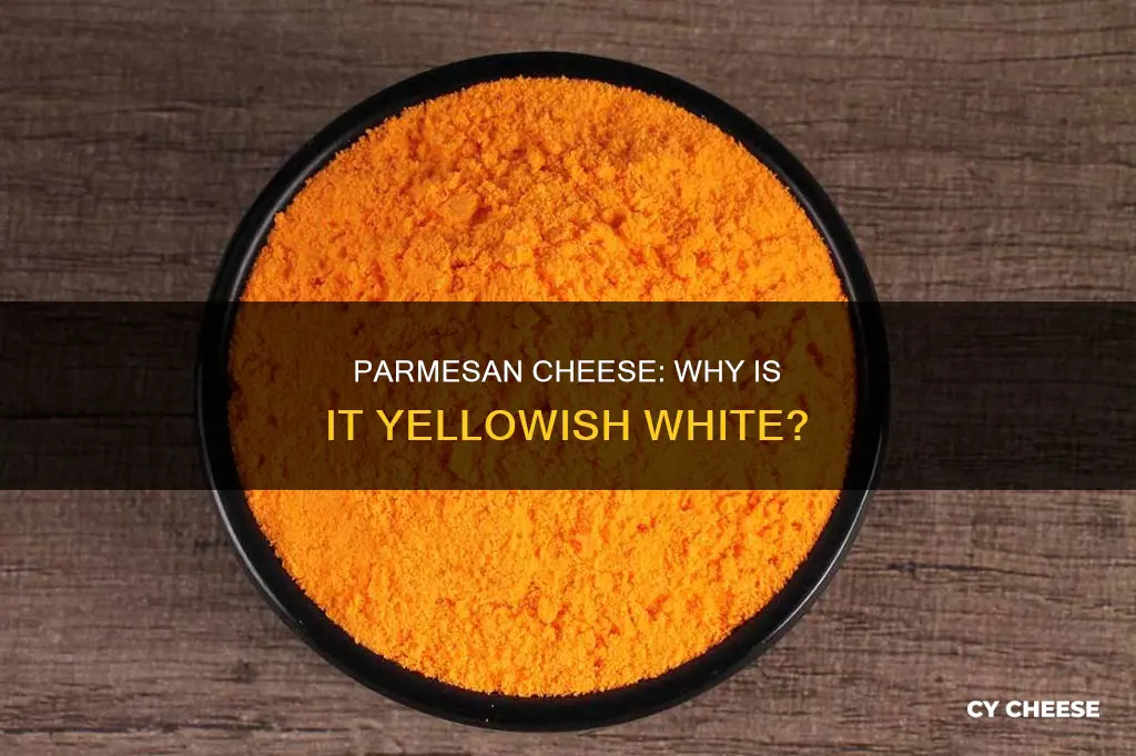 what color is grated parmesan cheese