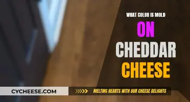 Uncover the Hidden Hazard: Mold's Color on Cheddar Cheese