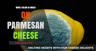 Mold on Parmesan Cheese: What Color Is It?