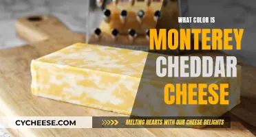 Monterey Cheddar's Golden Hue: A Colorful Culinary Adventure