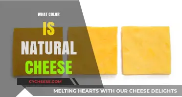 Natural Cheese Colors: Unveiling the True Hues of Dairy Delights