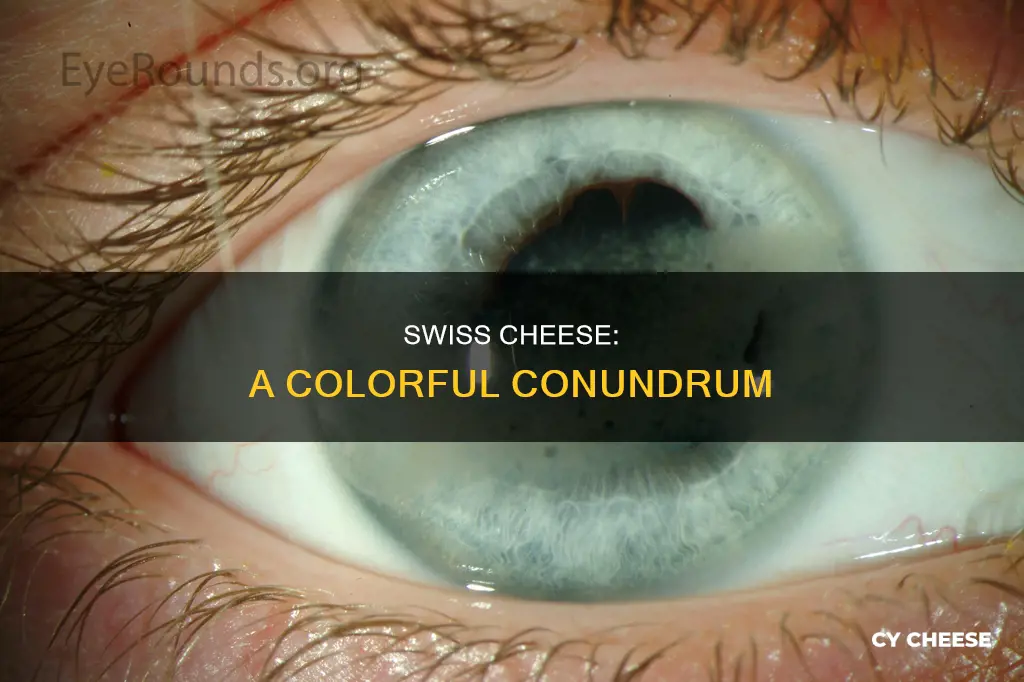 what color is swiss cheese