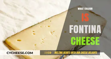 Discovering Fontina Cheese: Unveiling Its Unique Color and Characteristics