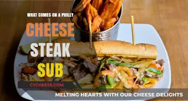Philly Cheese Steak Sub Essentials: Ingredients, Toppings, and Tips