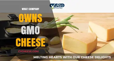 Unveiling the Corporate Ownership Behind GMO Cheese Production