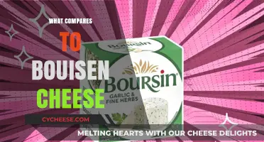 Exploring Cheeses Similar to Bouisen: A Tasty Comparison Guide