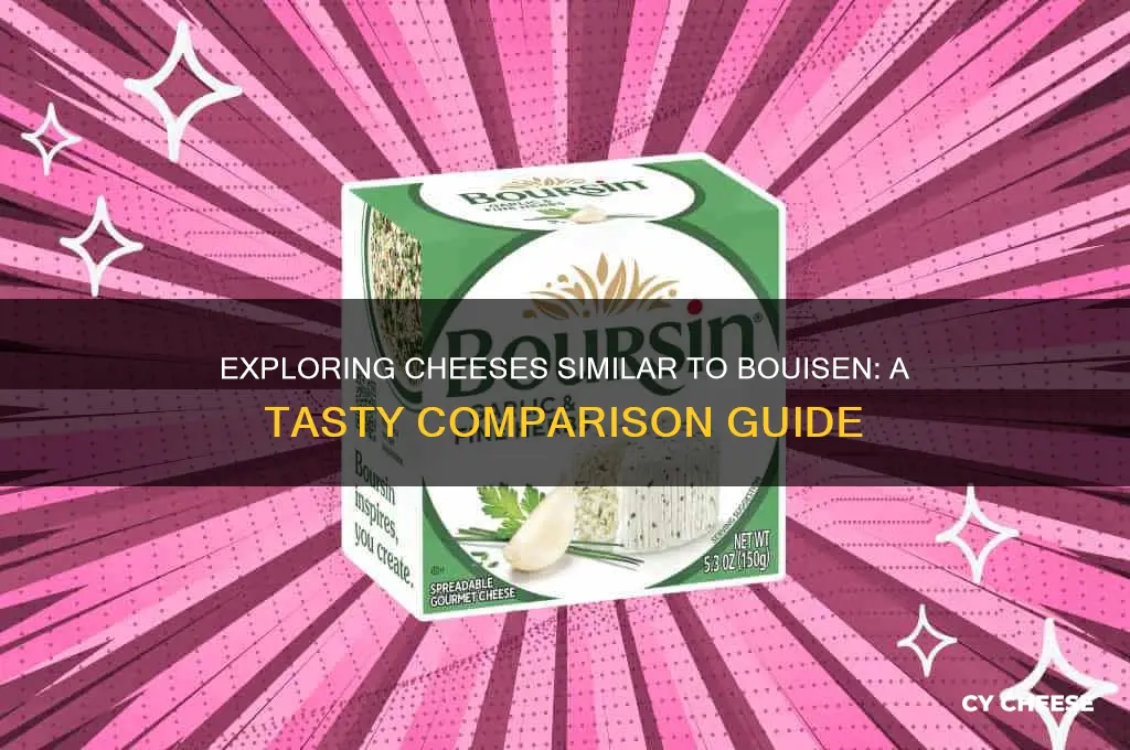 what compares to bouisen cheese