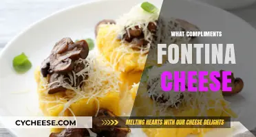 Perfect Pairings: Discover What Compliments Fontina Cheese in Your Dishes