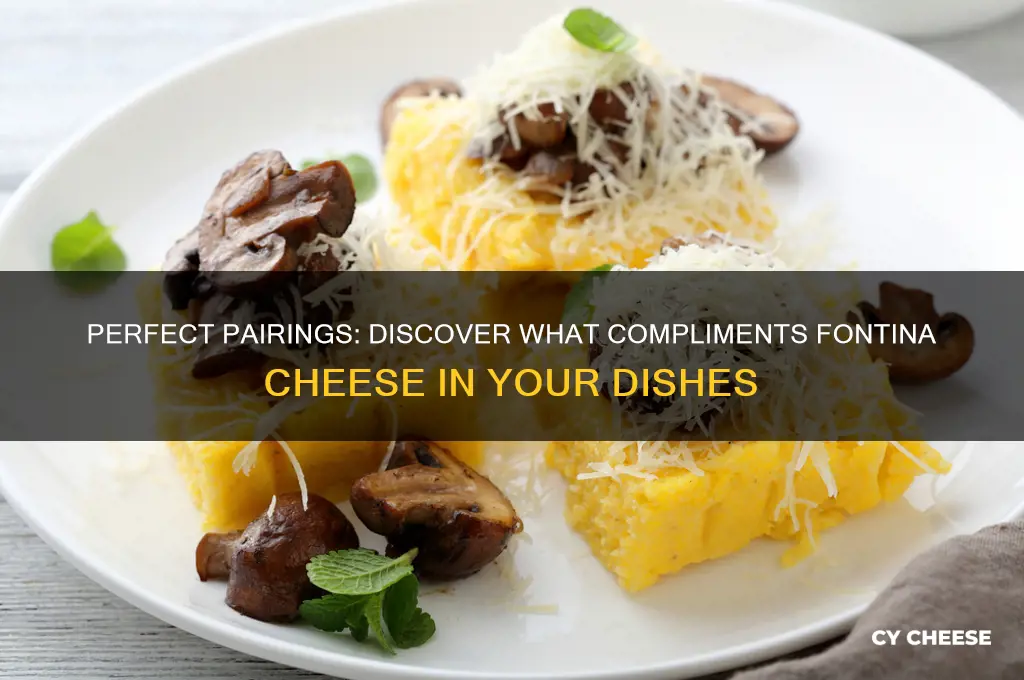 what compliments fontina cheese