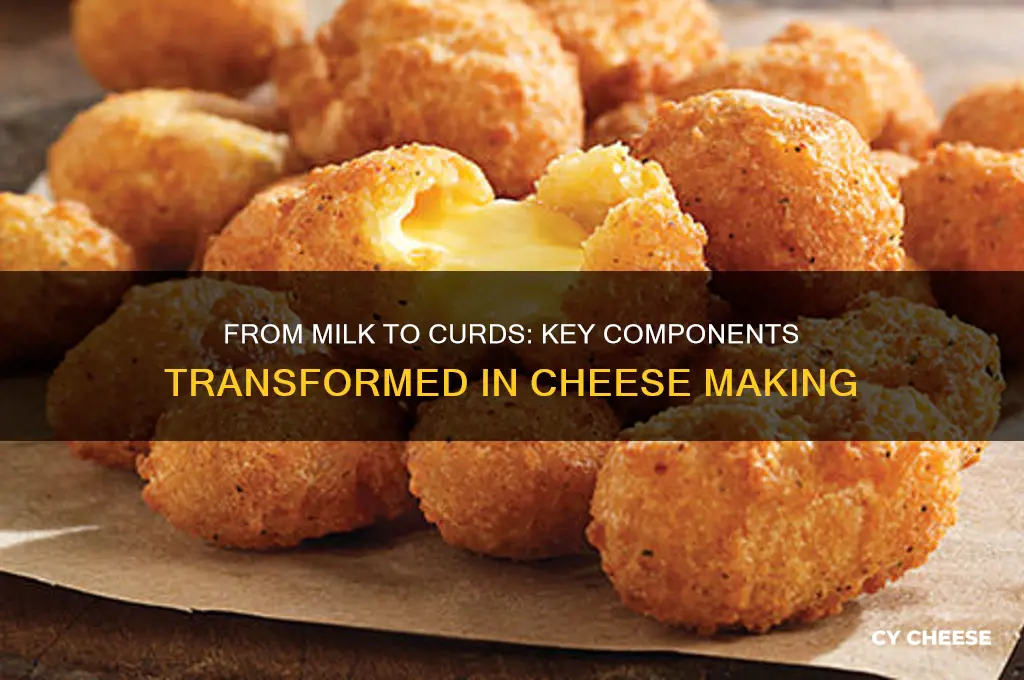 what components of milk end up in cheese curds