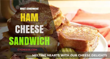 Perfect Ham and Cheese Sandwich: Best Condiment Pairings Revealed