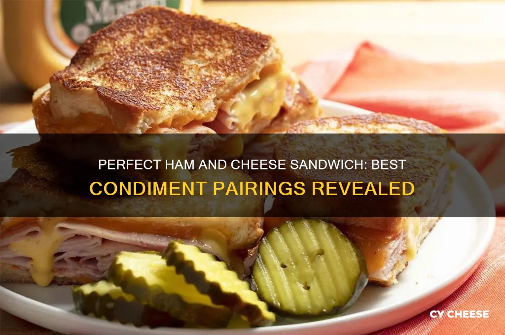 what condiment ham cheese sandwich