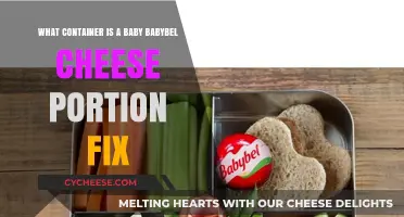 What Container Holds Babybel Cheese: A Portion Fix Guide
