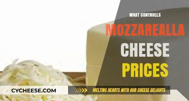 Factors Influencing Mozzarella Cheese Prices: A Comprehensive Market Analysis