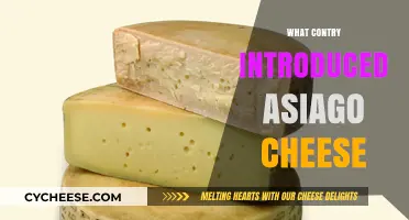 The Surprising Origin Story of Asiago Cheese: A Country's Legacy