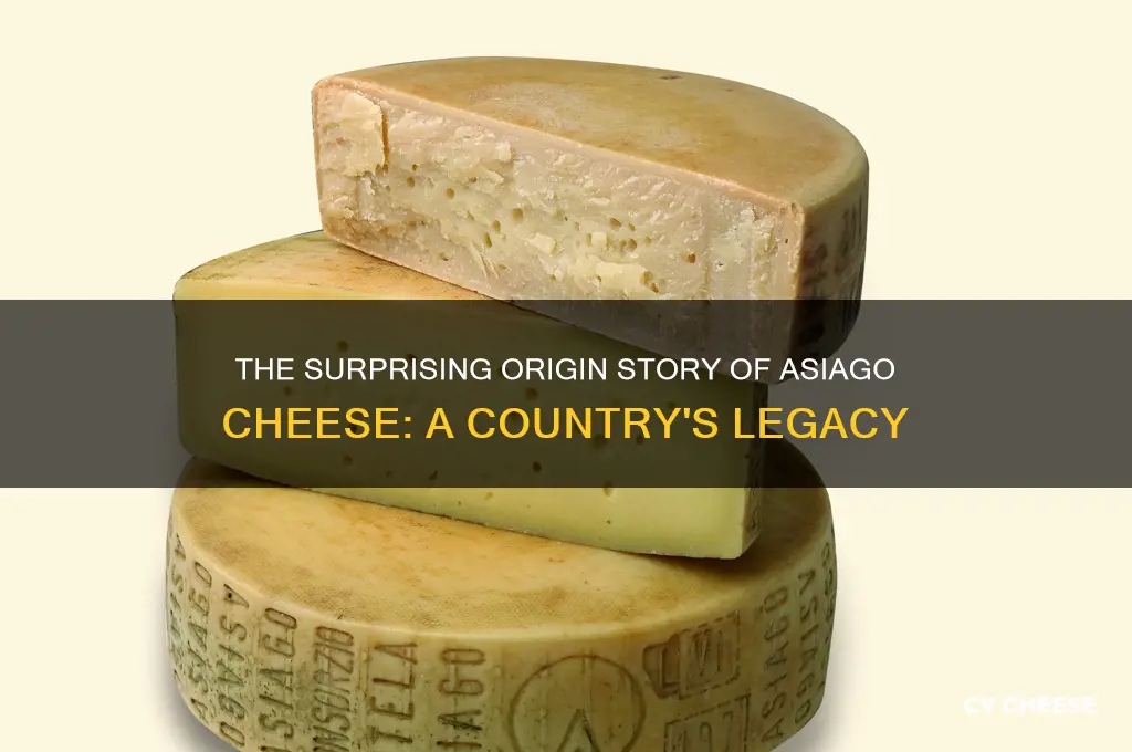 what contry introduced asiago cheese