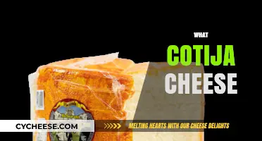 Discover Cotija Cheese: Uses, Flavor, and Mexican Culinary Delight