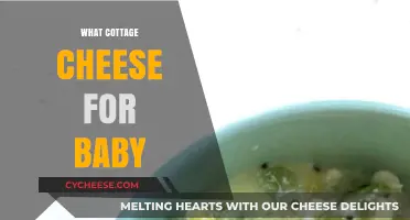 Choosing the Best Cottage Cheese for Your Baby's Nutrition