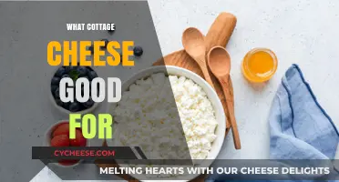 Cottage Cheese Benefits: Nutrition, Health, and Delicious Uses Explained