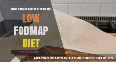Low FODMAP Diet: Which Cottage Cheese is Safe to Eat?