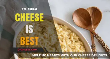 Discover the Creamiest, Tastiest Cottage Cheese Brands for Your Diet