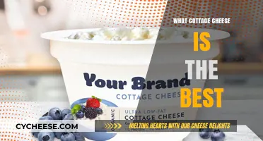 Discover the Creamiest, Tastiest Cottage Cheese Brands to Try Now