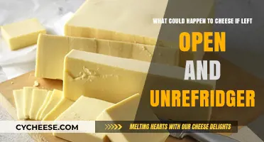 Uncovered Cheese: Risks of Leaving It Open and Unrefrigerated