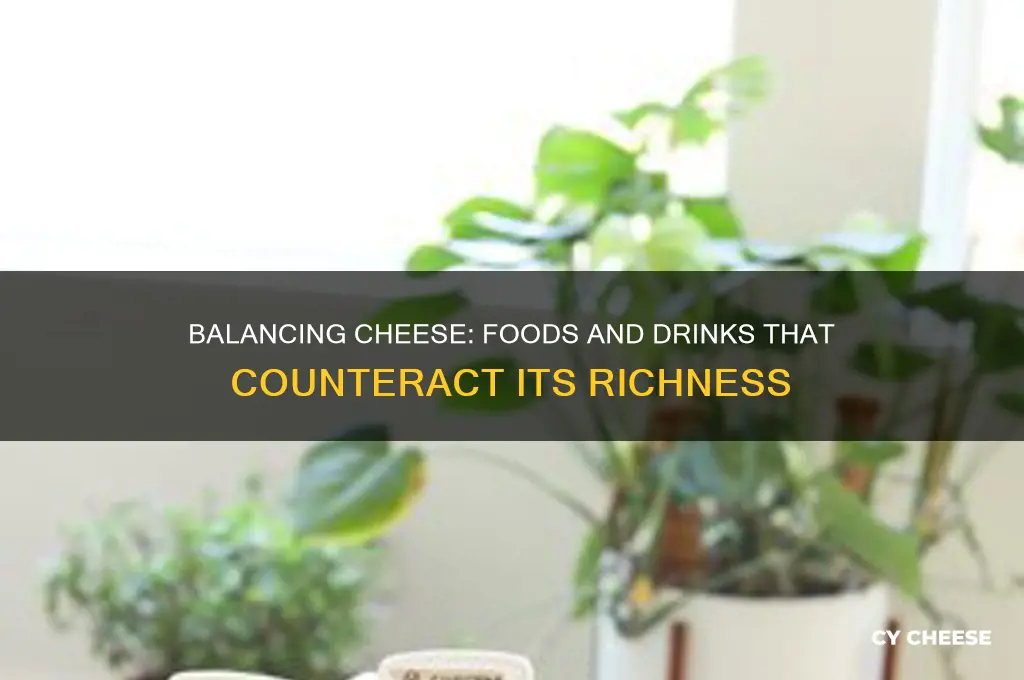 what counteracts cheese