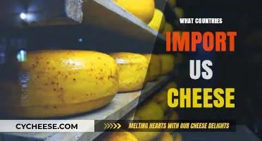 Global Demand: Which Countries Import American Cheese?