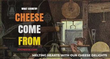 Exploring Cheese Origins: A Global Journey Through Dairy Traditions
