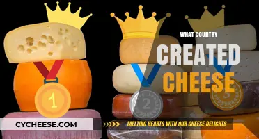 The Surprising Origins of Cheese: Which Country Started It All?