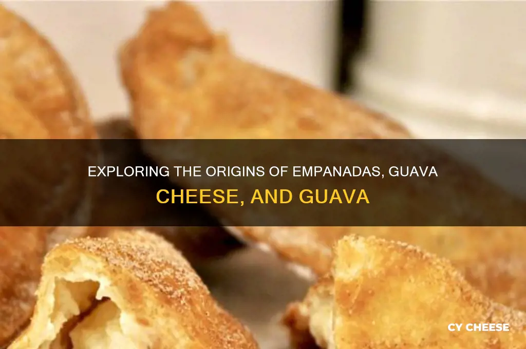 what country does empanadas guava cheese and guava come from