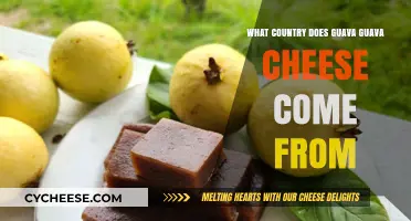 Exploring the Origins of Guava Cheese: Which Country Claims This Delight?