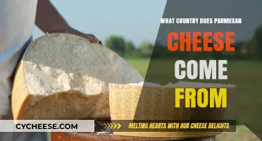 Parmesan Cheese: An Italian Delicacy Explored