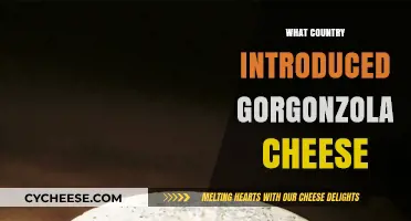 The Surprising Origins of Gorgonzola Cheese: A Country's Legacy