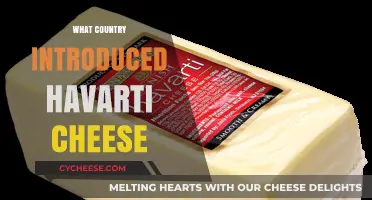 The Surprising Origin of Havarti Cheese: A Danish Delight