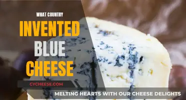 Blue Cheese Origins: A Country's Delicious Legacy