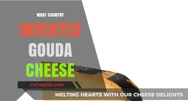 The Surprising Dutch Origins of Gouda Cheese: A Historical Journey