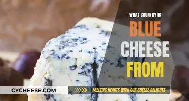 Blue Cheese Origins: Which Country Does It Belong To?