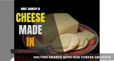 Cheese Origins: A Global Perspective