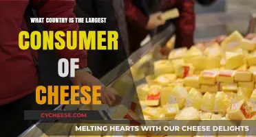 Global Cheese Consumption: Which Country Tops the Dairy Charts?