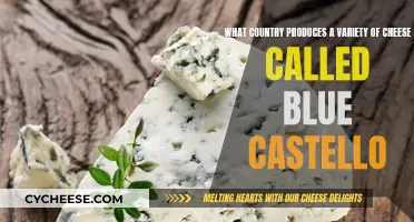 Blue Castello Cheese: A Danish Delicacy