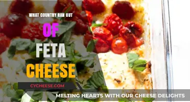 Feta Frenzy: Which Country Craved This Cheese?