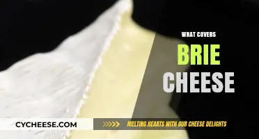 What Covers Brie Cheese: Exploring the Edible Rind and Beyond