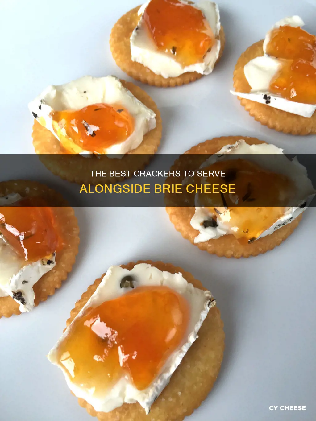 what cracker goes best with brie cheese