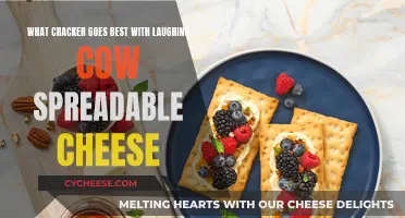 Best Crackers to Pair with Laughing Cow Spreadable Cheese