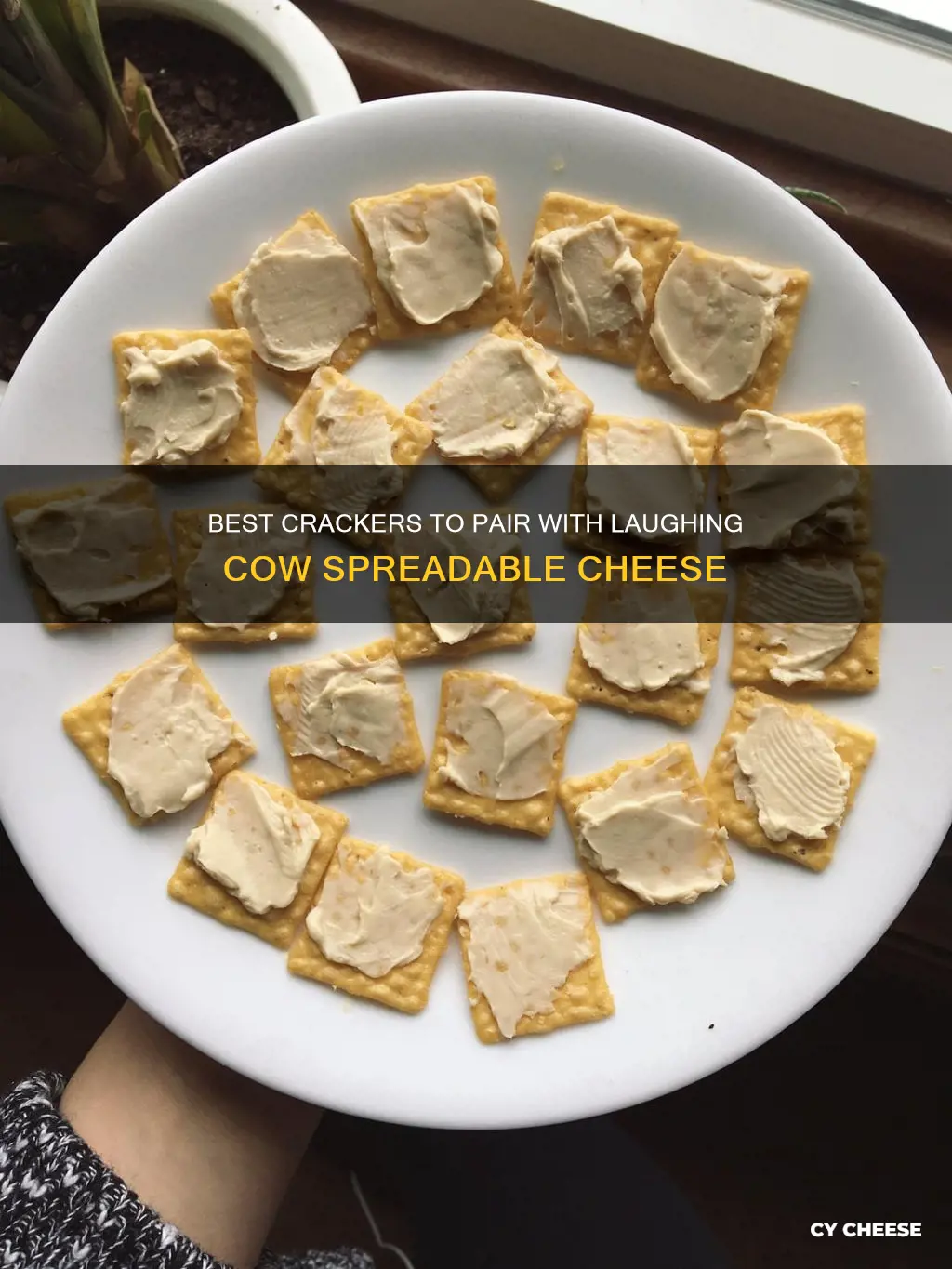 what cracker goes best with laughing cow spreadable cheese