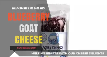 Blueberry Goat Cheese Bliss: Perfect Cracker Pairings to Elevate Your Snack